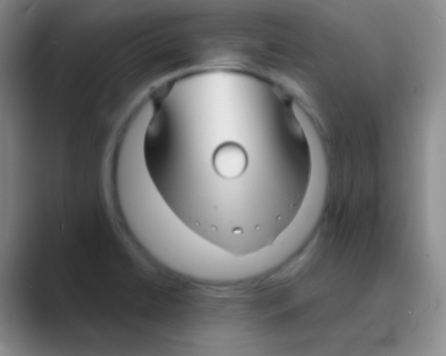 X0000088721422200706282054