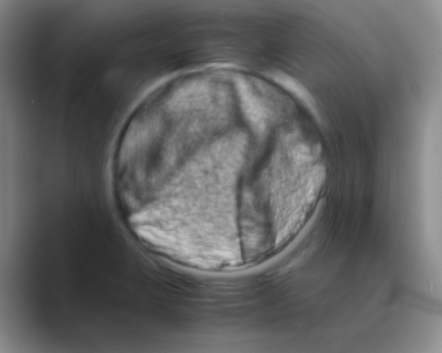 X0000088721423200706282054