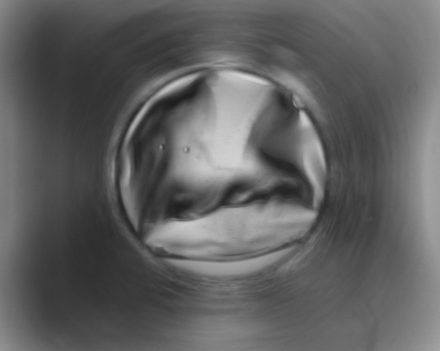 X0000088721424200706282054