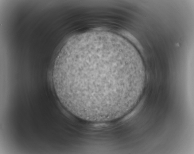 X0000088721425200706282054