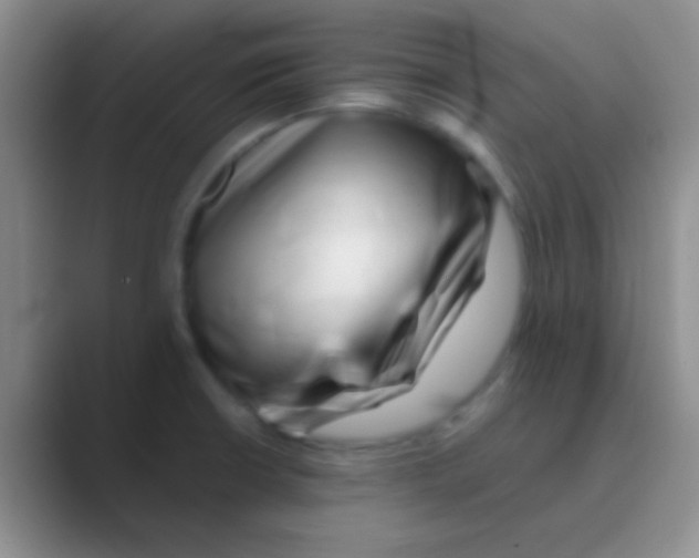 X0000088721426200706282054