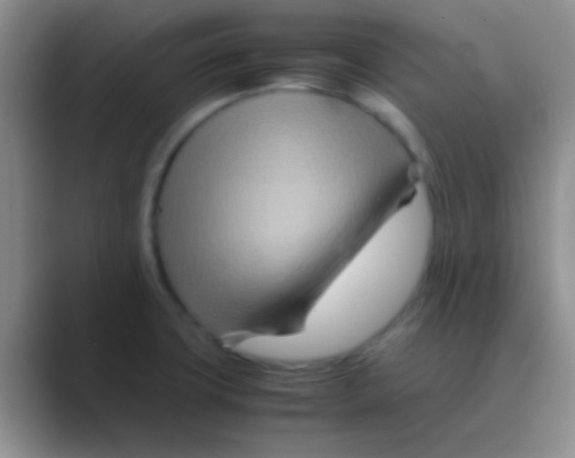 X0000088721427200706282054