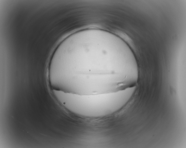 X0000088721428200706282054