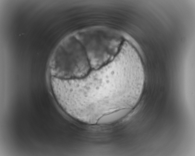 X0000088721429200706282054