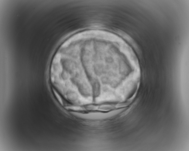 X0000088721432200706282054