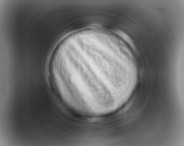 X0000088721435200706282054