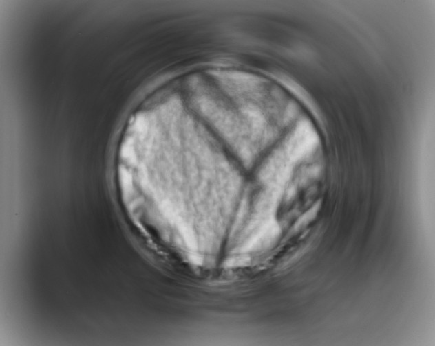 X0000088721437200706282055