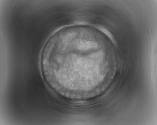 X0000088721439200706282055