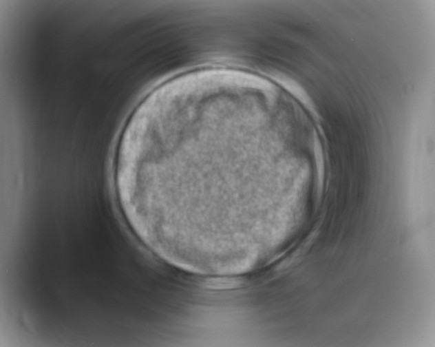 X0000088721440200706282055