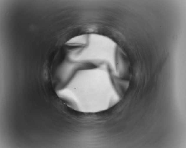 X0000088721442200706282054