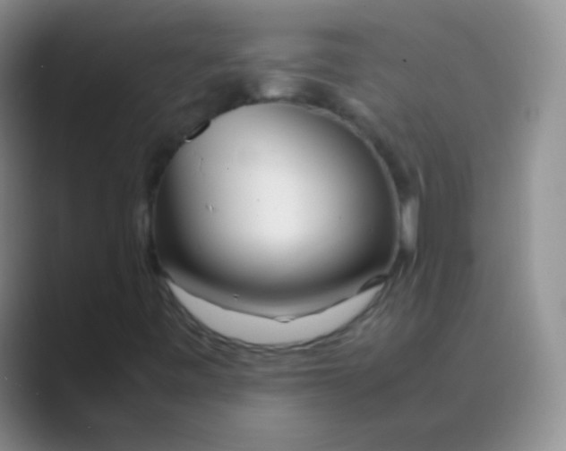 X0000088721443200706282054