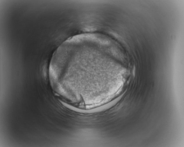 X0000088721444200706282054