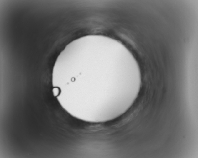 X0000088721447200706282054