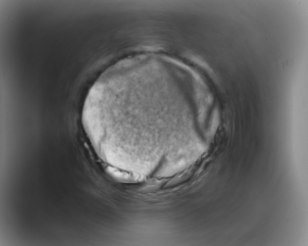 X0000088721448200706282054