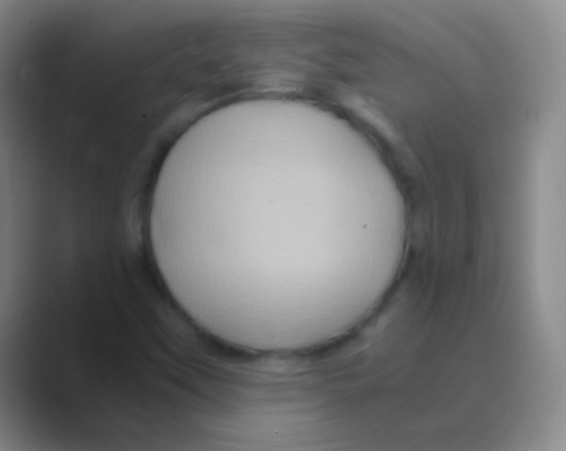 X0000088721451200706282054