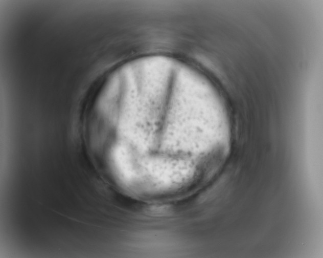 X0000088721453200706282054