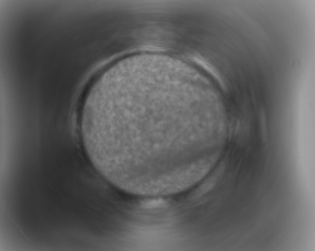 X0000088721454200706282054