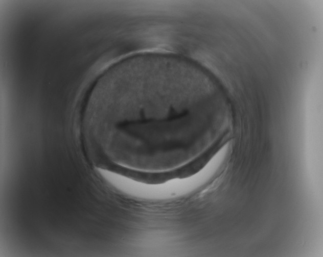 X0000088721455200706282054