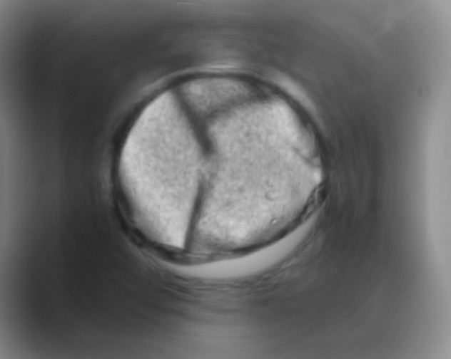 X0000088721456200706282054