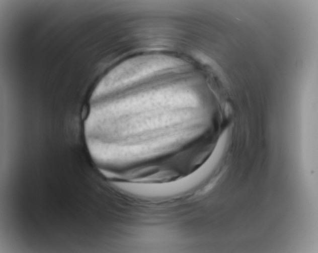 X0000088721457200706282054