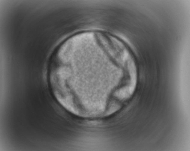 X0000088721460200706282054