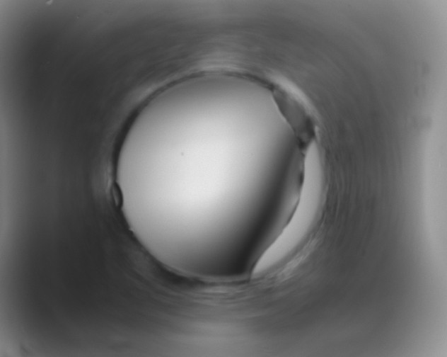 X0000088721461200706282054