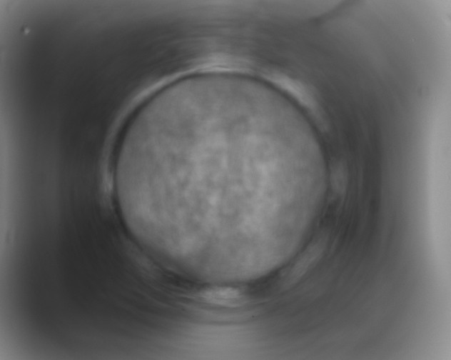 X0000088721462200706282054