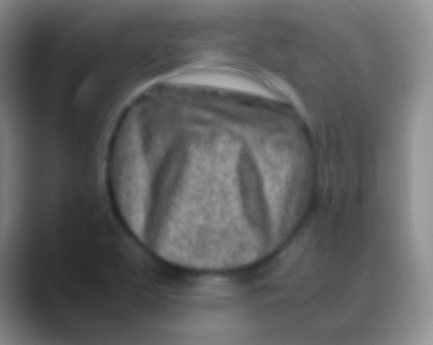 X0000088721463200706282054