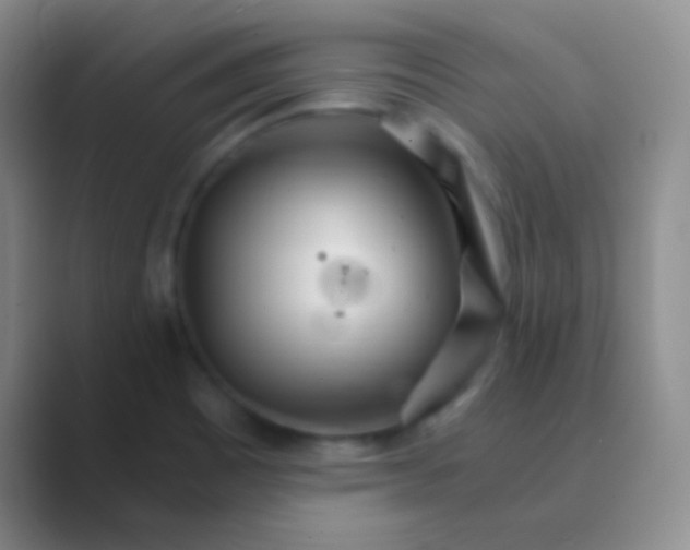 X0000088721465200706282054