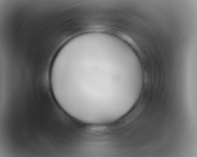 X0000088721466200706282054