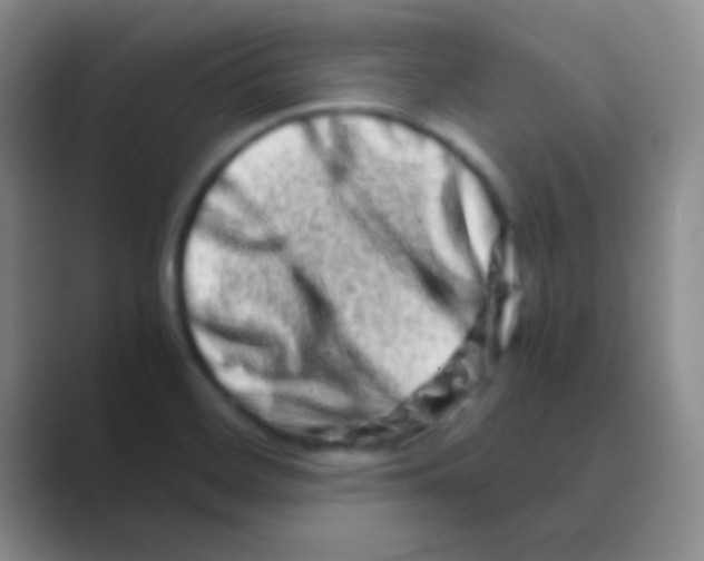 X0000088721468200706282054