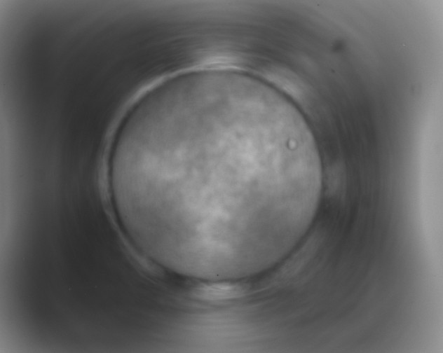 X0000088721470200706282054