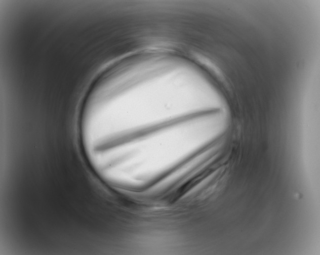 X0000088721471200706282054