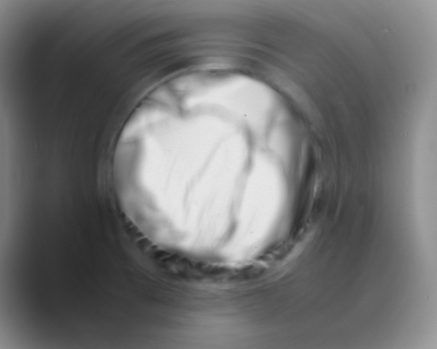 X0000088721473200706282054