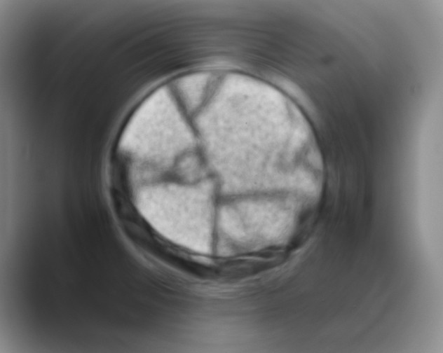 X0000088721476200706282053