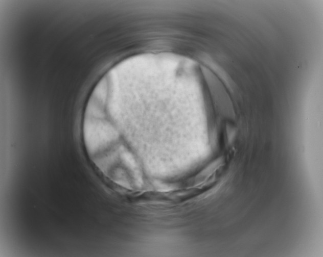 X0000088721477200706282053