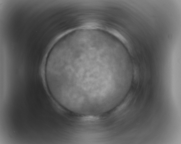 X0000088721478200706282053