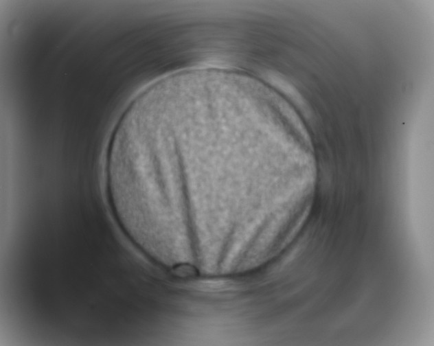 X0000088721479200706282053