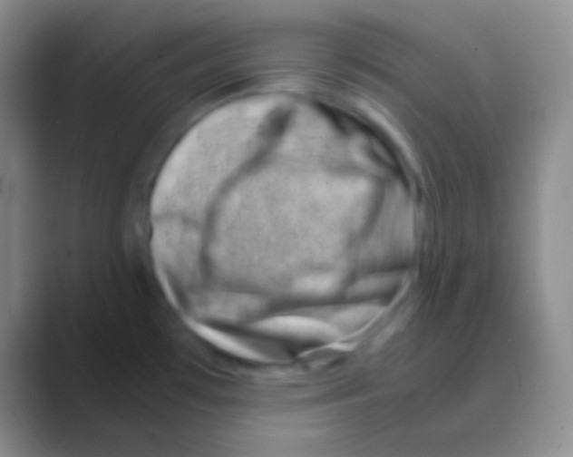 X0000088721481200706282053