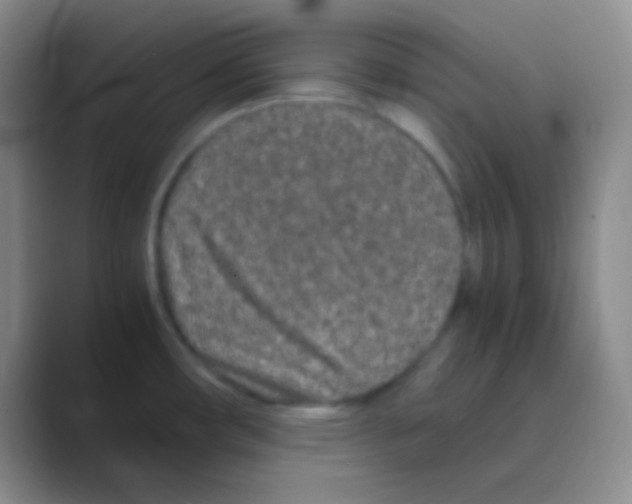 X0000088721482200706282053