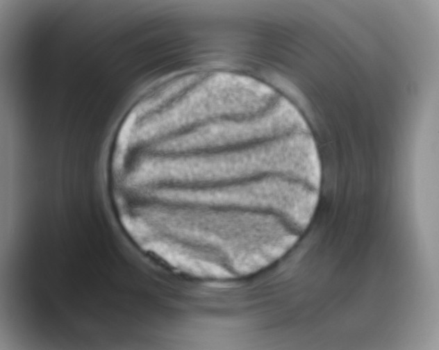 X0000088721483200706282053