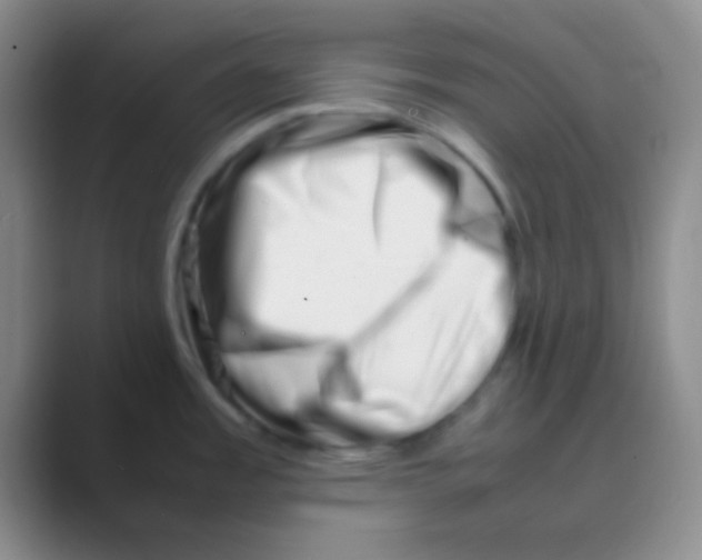 X0000088721485200706282053