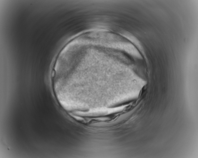 X0000088721488200706282053