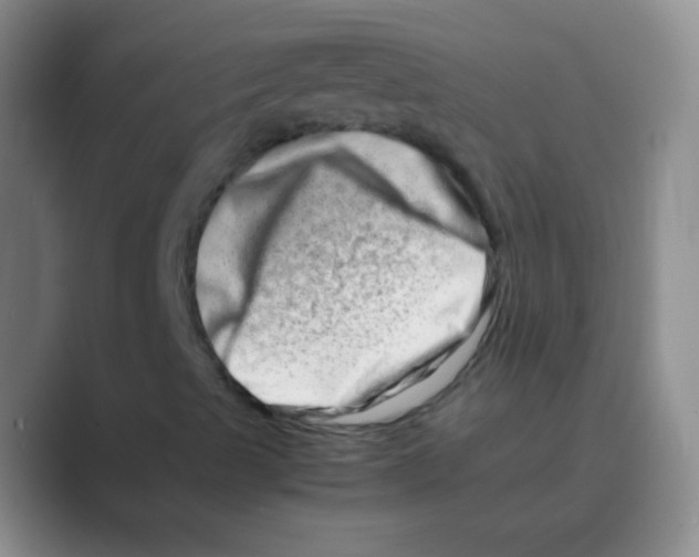 X0000088721489200706282053