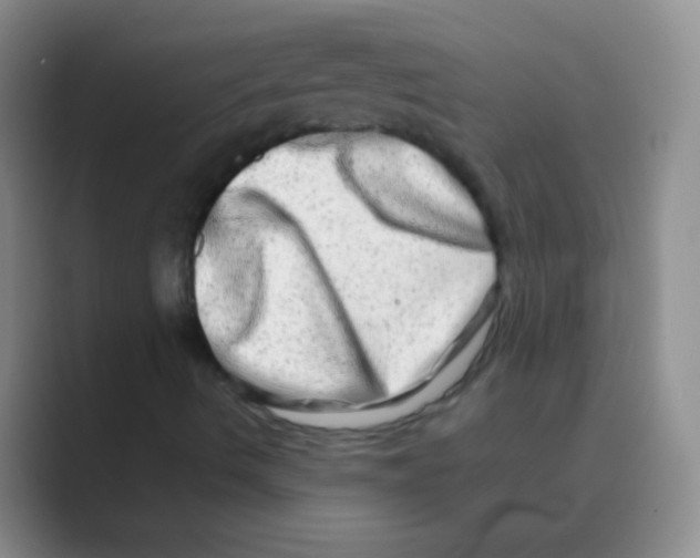 X0000088721490200706282053