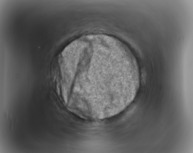 X0000088721494200706282053