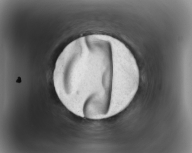 X0000088721495200706282053