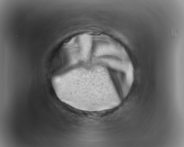 X0000088721496200706282053