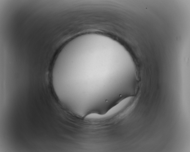 X0000088721497200706282053