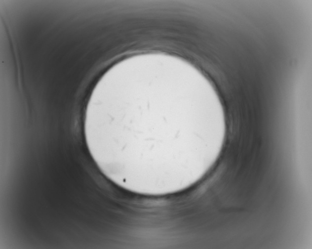 X0000088721498200706282053